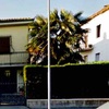 Espianto di due palme alte 5