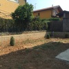 Fornitura e posa manto erboso
