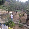 Rifacimento giardino di 1800mq