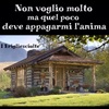 Casa in legno