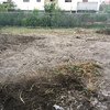 Sistemazione giardino castel d'azzano