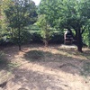 Giardino in erba sintetica