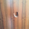 Riparare porta con buco
