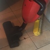 Disinfestazione