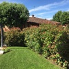 Sistemazione giardino robecco d'oglio