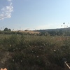 Recinzione per terreno agricolo