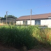 Manutenzione giardino a mestre