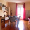 Levigare/lucidare parquet doussie