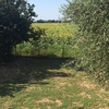 Livellare terreno
