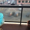 Sostituzione vetro balcone