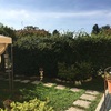 Potare O Tagliare Alberi