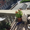 Ringhierina anticaduta vasi su davanzale balconi