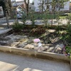 Fornire Terra O Accessori Giardino