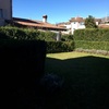 Manutenzione Giardino