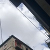 Allontanamento Piccioni