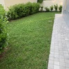Installare Impianto Irrigazione