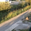 Manutenzione Giardino
