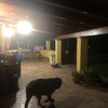 Realizzare Veranda In Alluminio