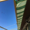Riparare Tenda Da Sole