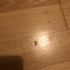 Levigare e Verniciare Parquet (Parziale)
