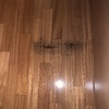 Levigare E Verniciare Parquet