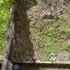 Costruire Muro Cemento Armato