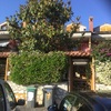 Potare O Tagliare Alberi