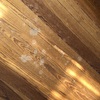 Levigare E Verniciare Parquet