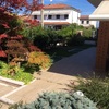 Manutenzione Giardino
