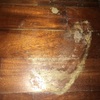 Levigare E Verniciare Parquet