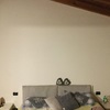 Insonorizzare Casa