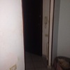 Disinfestazione tutta la casa