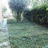 Giardino da sistemare
