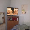Disinfestazioni in casa