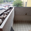 Manutenzione Giardino