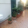 Manutenzione e cambio irrigazione giardino