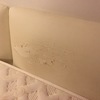 Ritapezzare divano letto e testata letto matrimoniale