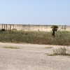 Pulizia terreno