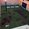 Pavimentare Giardino
