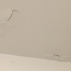 Sistemazione danni da infiltrazione e riverniciatura del bagno con pittura e materiali antimuffa