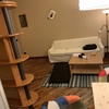 Levigare E Verniciare Parquet