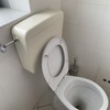 Installare O Cambiare Sanitari