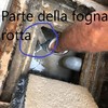 Daniele sisto