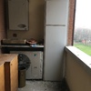Disinfestazione balcone da piccioni:urgente
