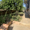 Ristrutturare Muro