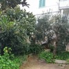 Manutenzione giardino e potatura alberi