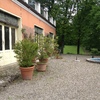 Rifacimento giardino + irrigazione