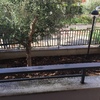 Manutenzione Giardino