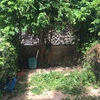 Manutenzione Giardino