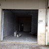 Autorizzazione per rilascio titolo edilizio insegna di attività sulla sede